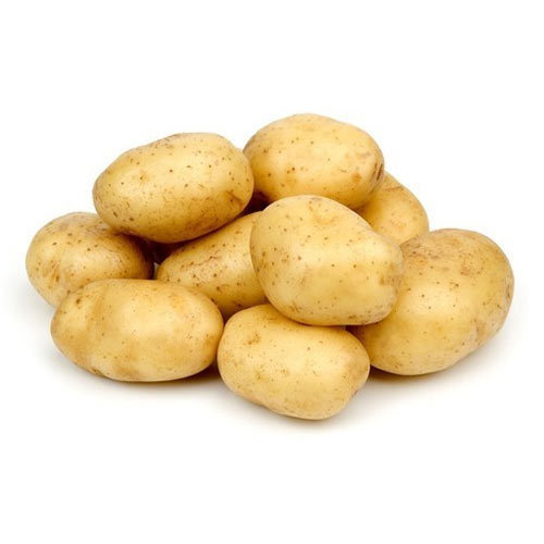 Round fresh potato