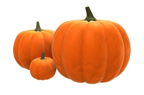 Organic Fresh Pumpkin, for Pesticide Free ( Raw Products), Packaging Size : 10-20kg