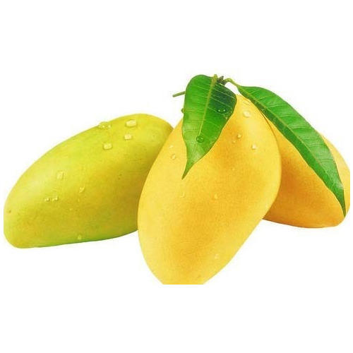 fresh mango