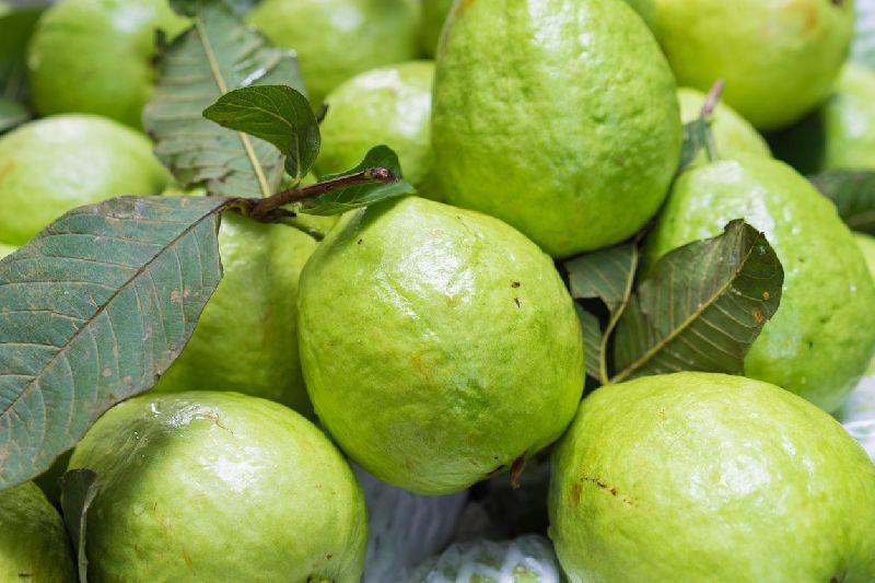 fresh guava