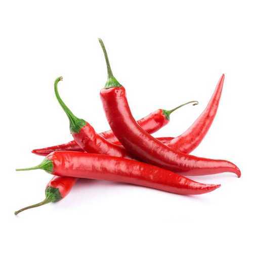 Fresh Red Chilli, Taste : Spicy