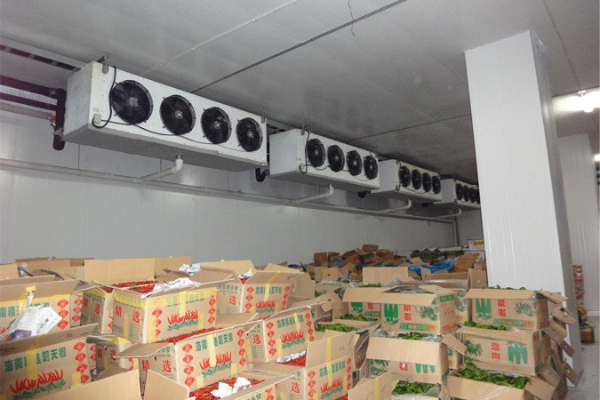 Fruit And Vegetable Cold Room, Voltage : 220V