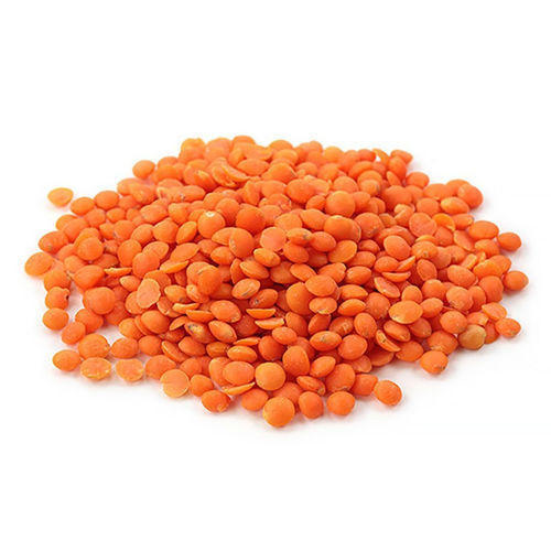 Organic Red Lentils, for Cooking, Packaging Type : Plastic Bag