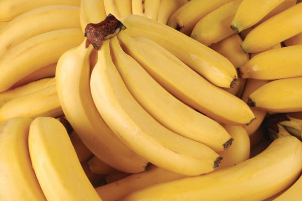 Organic fresh banana, Feature : Absolutely Delicious, Healthy Nutritious