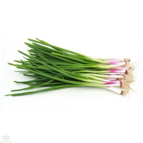 Fresh Spring Onion, Shelf Life : 15days