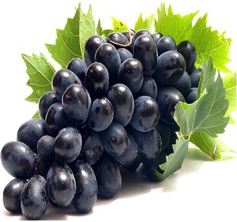 Organic fresh black grapes, Shelf Life : 3-5days