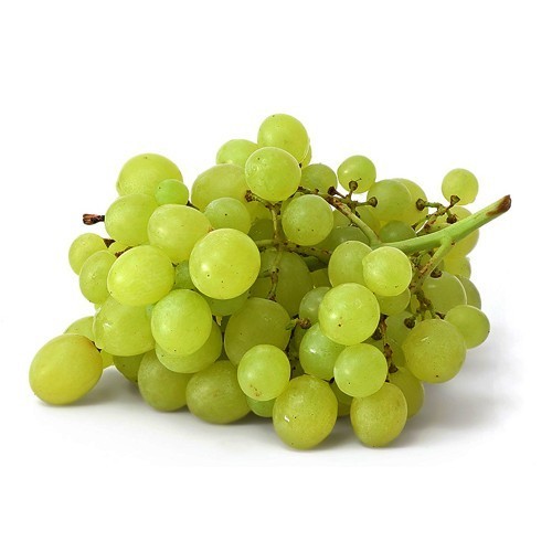 Organic fresh green grapes, Shelf Life : 7-10days