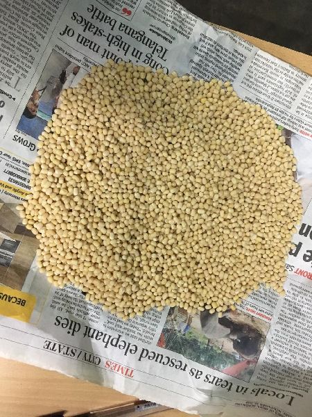 446 Common urad dal, Packaging Type : Gunny Bag