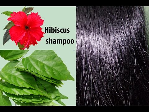 Ashly Ayur Herbal Hibiscus Hair Shampoo