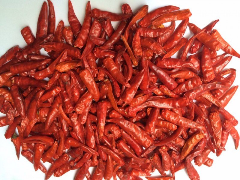 Natural Dried Red Chilli, Packaging Type : Gunny Bags