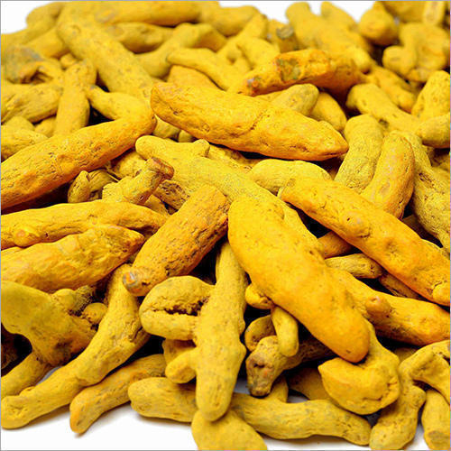 Turmeric finger, Color : Yellow