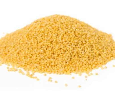 Little Millet, for Rich Source of Nutrients