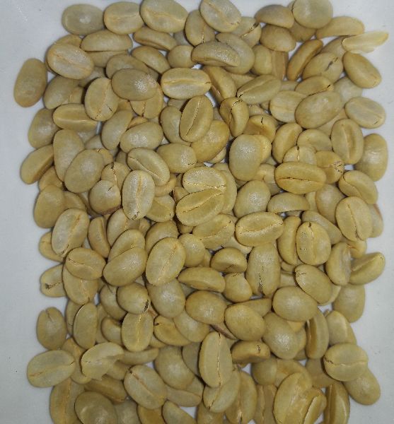 Natural dried Coffee Beans Arabica Parchment, Purity : 100%