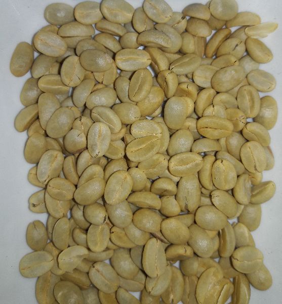 Arabica Parchment