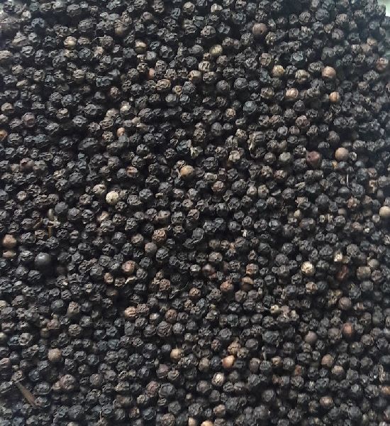 Natural black pepper, Shelf Life : 18months