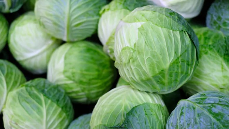 Fresh Cabbage