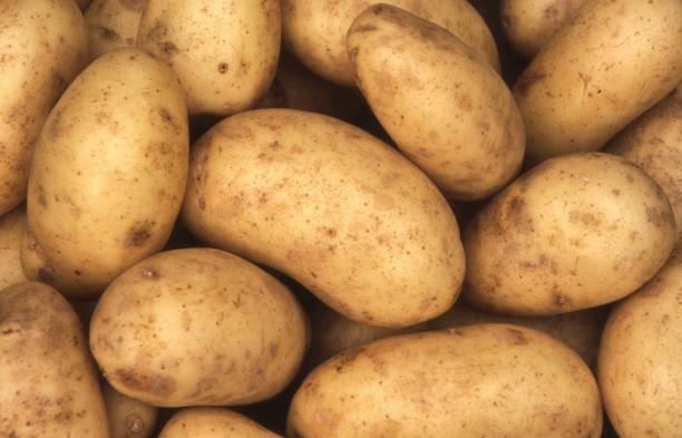 Natural potato, Shelf Life : 3 months, 6 Months
