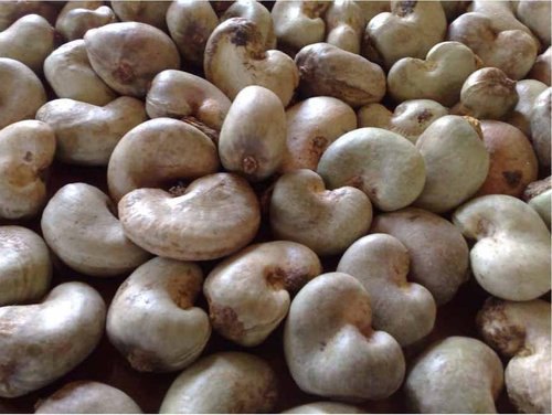 Slices Organic raw cashew nuts, for Snacks, Packaging Type : Pouch