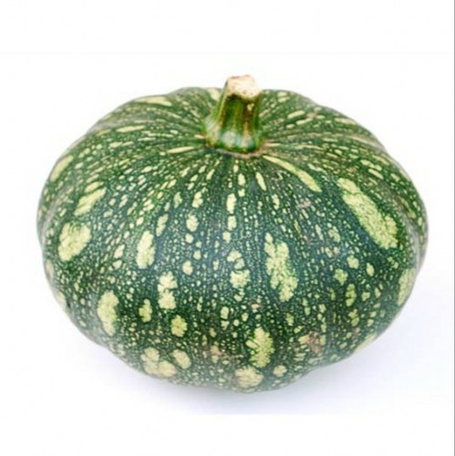 Fresh Ash Gourd, Packaging Type : Plastic Bags