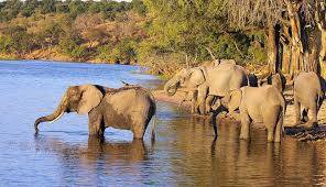 South Africa Holiday Tour Package