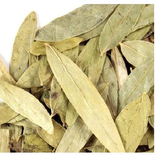 Organic Dry Senna leaves, Certification : ISO-9001:2008 Certified