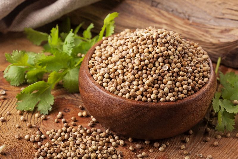 Coriander seeds