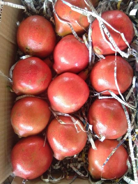 Natural Fresh Pomegranates, Packaging Size : 5-10kg