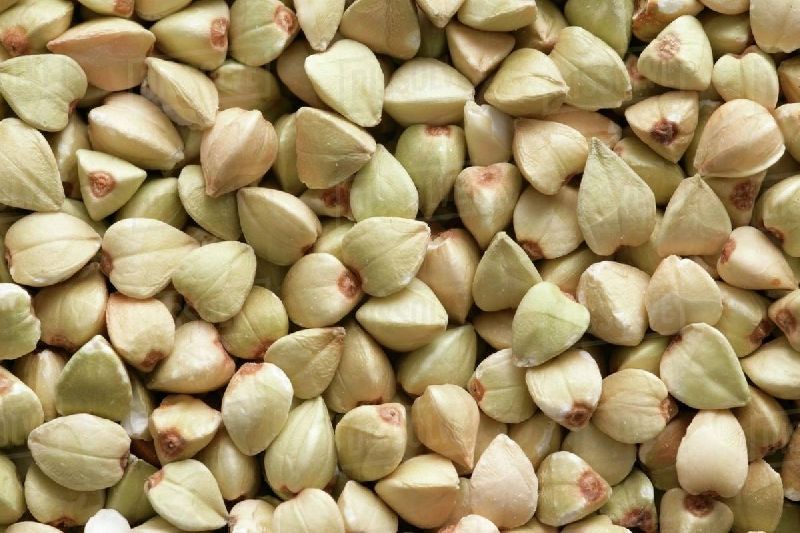 Buckwheat Seeds