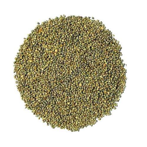 Pearl Millet Seeds by Caltex Polymers S.A Pty Ltd, Pearl Millet Seed