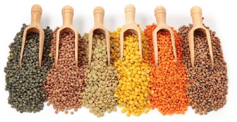 Dal and Pulses All Kinds