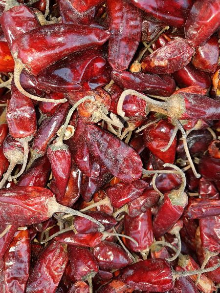 Organic Assam Bullet Chilli, Taste : Spicy