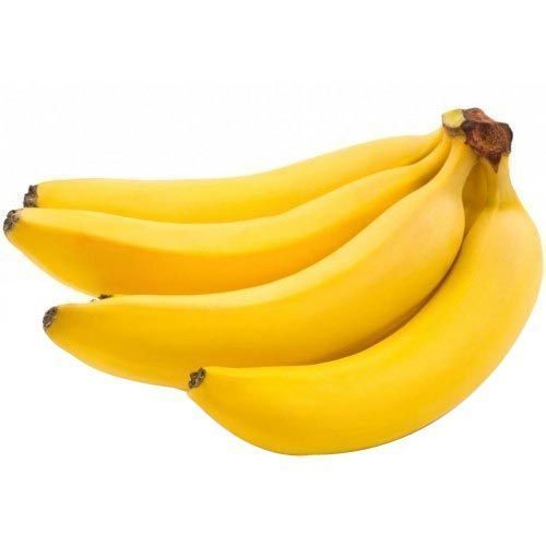 Common fresh banana, for Food, Juice, Snacks, Feature : Absolutely Delicious, Easily Affordable, Healthy Nutritious
