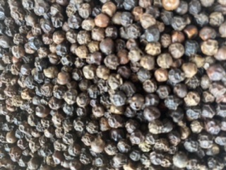 Organic black pepper seeds, Shelf Life : 6 Month