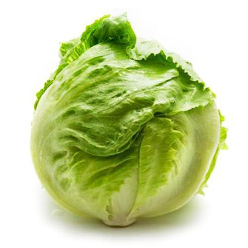 Organic Fresh Lettuce, Color : Green