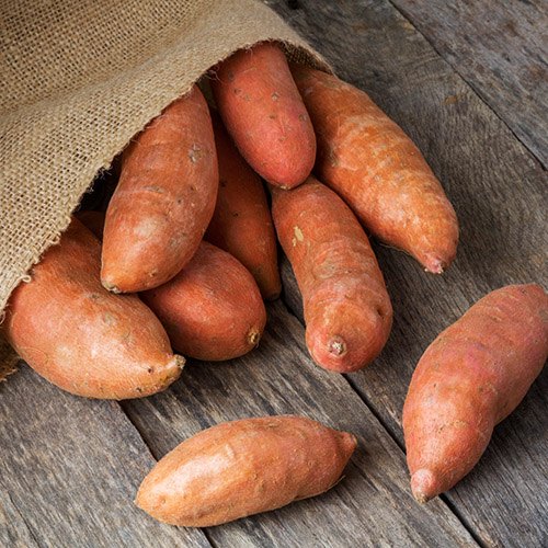 Fresh sweet potato, Packaging Type : Jute Bag, Net Bag
