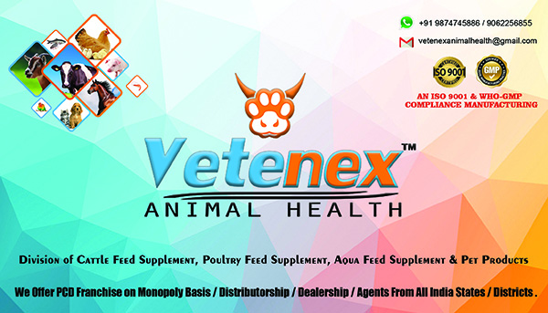 Veterinary Franchise