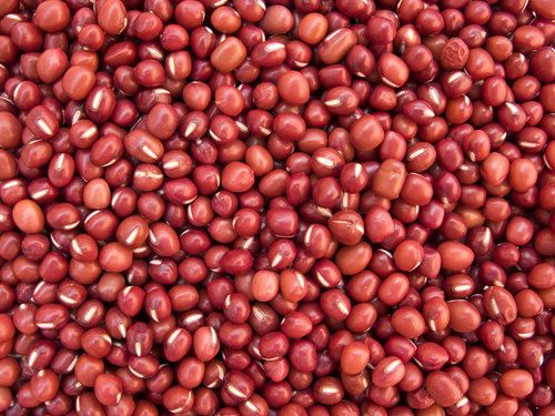 Natural Red Sorghum Seeds, Packaging Size : 50kg