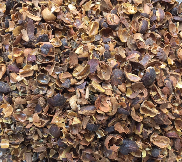 Robusta Cherry Coffee Husk by Western Hills Spices, robusta cherry ...