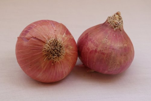 Fresh Pink Onion, Packaging Type : Jute Bags