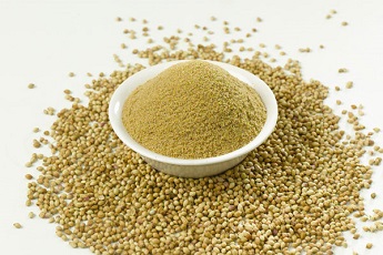 Organic coriander seeds, for Agriculture, Packaging Type : Plastic Packets