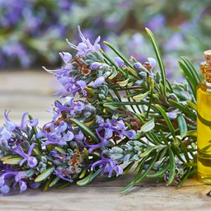 rosemary oil