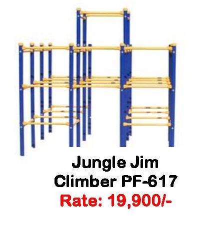 Jungle Gym Climber