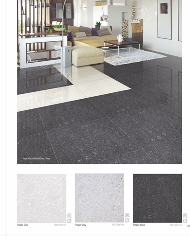 4x2 Double Charged Vitrified Floor Tiles