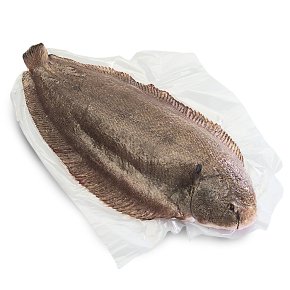 Fresh Sole Fish, for Household, Mess, Restaurants, Feature : High In Protein