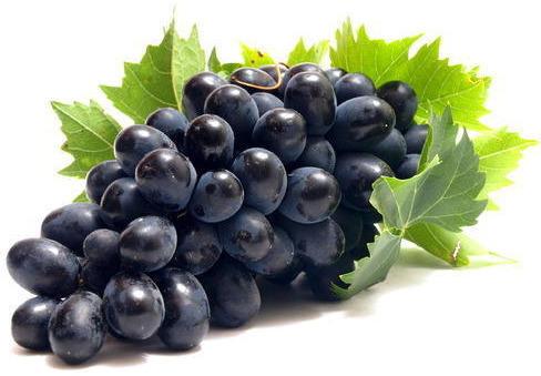Black Grapes, for Human Consumption, Certification : APEDA
