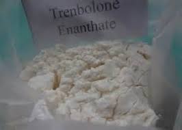 Research Chemicals Search -  Raw Trenbolone Enanthate Steroid Powder