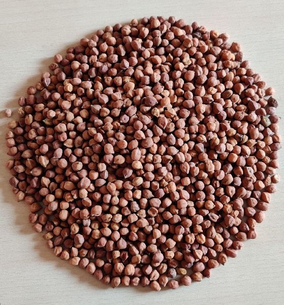 Natural Black Chickpeas, for Cooking, Style : Dried