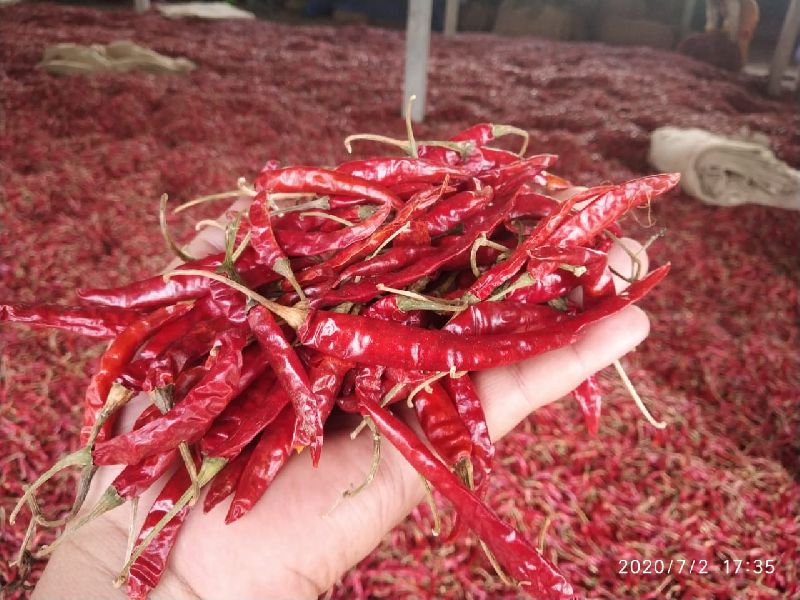 Common Red Chilli Sauce, for Cooking, Fast Food, Taste : Spicy