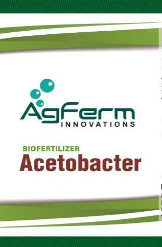 Agferm Acetobacter Biofertilizer