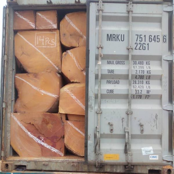 Timber Wood Logs, Shape : Square for Window Frame, Wooden Doors Frame